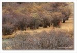 Frame_IMG_8373 e