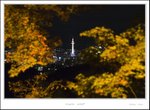 _MG_5698 e