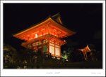 _MG_5802 ec