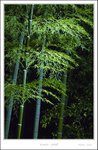 _MG_5887 e