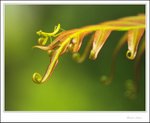 IMG_8376 ec