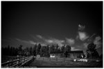 _DSC3019