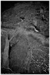 _DSC3060