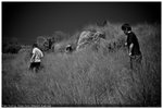 _DSC3097