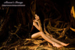 DSC_2346_Aaron's-Image_