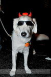 Aaron's Image_AAR_0543