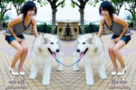 DSC_0196_Yoko by Aaron_2_
