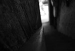 DSC_0102