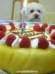 DSCN3988ar