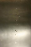 IMG_0664