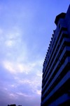 IMG_1308