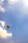 IMG_1428