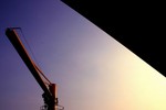 IMG_1495