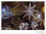 PICT0636