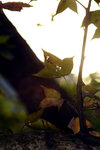 PICT0178