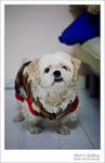PICT0090