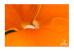 DSC01621b