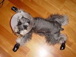 DSC03627