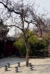 DSC04393