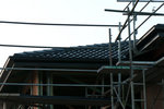 20091206007R