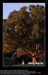 20070812053W