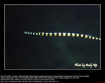 20071107027W