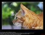 20081220002W