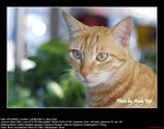 20081220004W