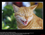 20081220005W