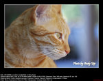 20081220007W