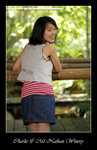 20090315068W