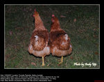 20070812055W