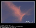 20060507019W