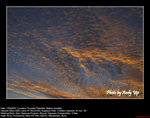 20070812065W
