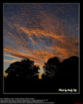 20070812067SW