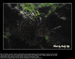 20071107070W