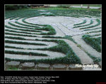 20060414005W