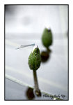 

200502060130(F)