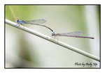 

200502060131C(F)