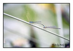 

200502060131(F)
