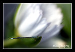 

200502060133(F)