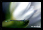 

200502060134(F)