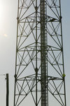 20081019046W