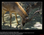 20081019020W