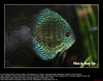 20080914072W