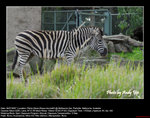 20070704124W
