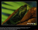 20071028043W