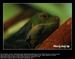 20071028048W
