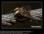 20070812040W