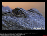 20071028073W